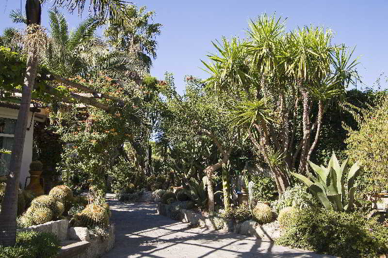 Park Hotel Terme Mediterraneo Forio di Ischia Exteriér fotografie